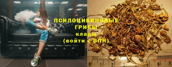 бошки Балахна